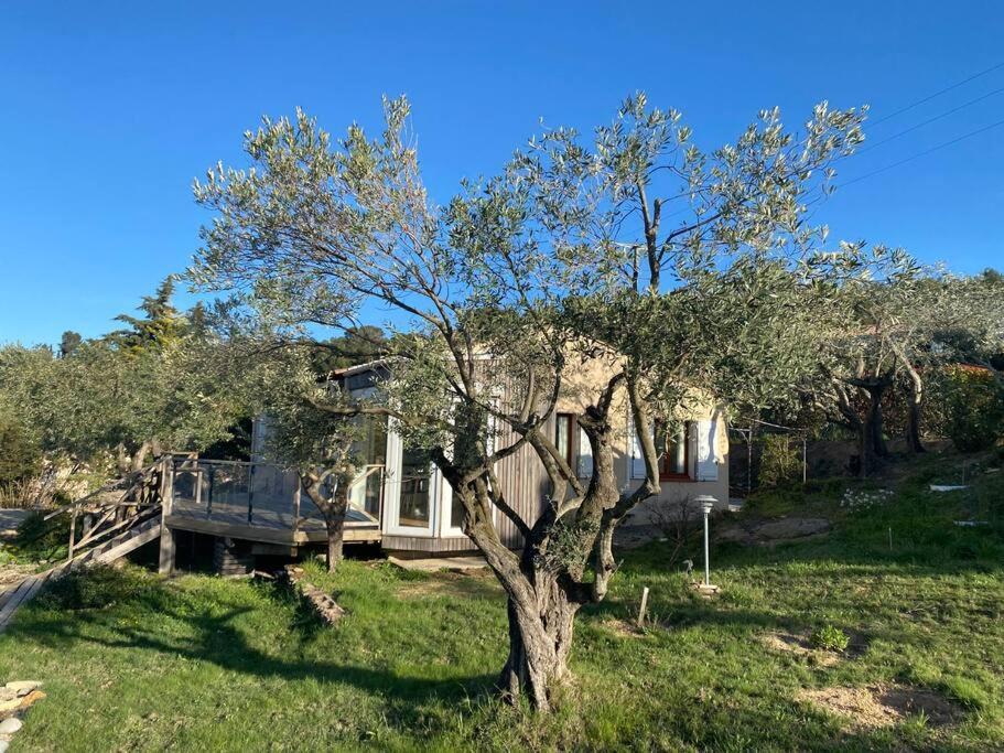 Neuve Romantique Montbrun-des-Corbieres Екстер'єр фото